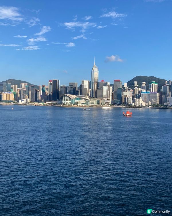 死侍在維港的日子