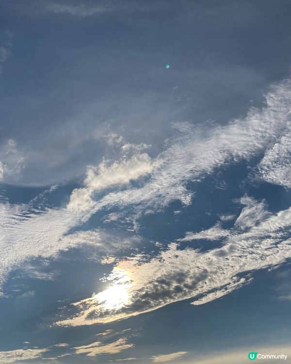 死侍在維港的日子