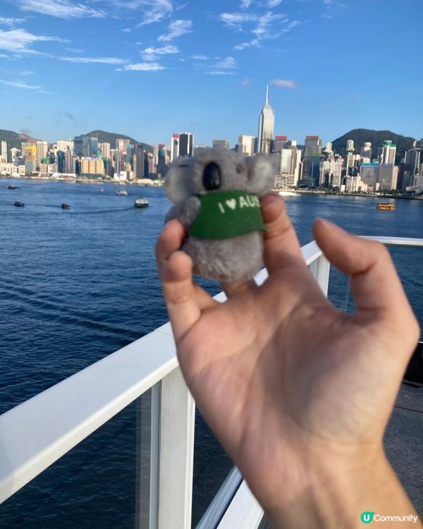 死侍在維港的日子