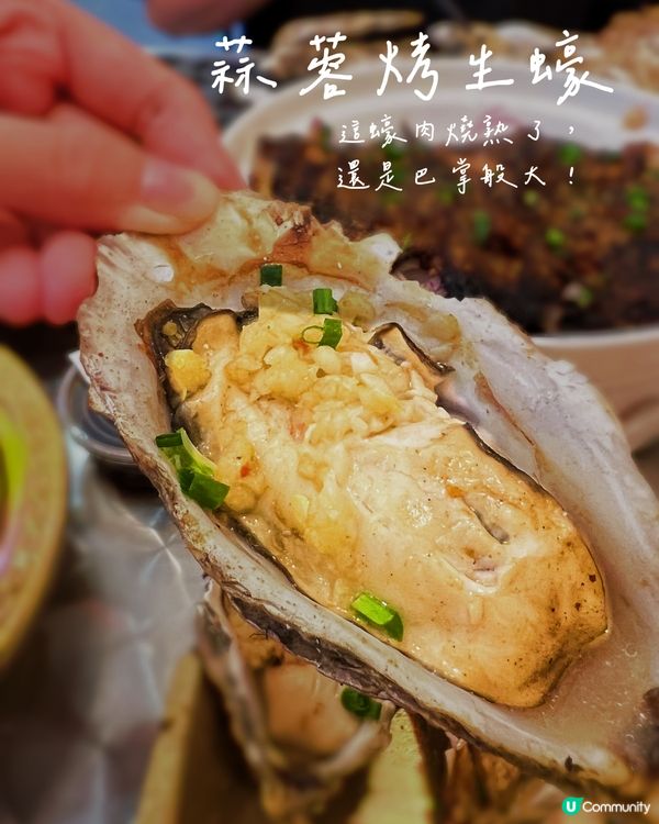 人均80蚊‼️🦪高質生蠔吃到爽😆超大隻、鮮甜、CP值爆錶‼️