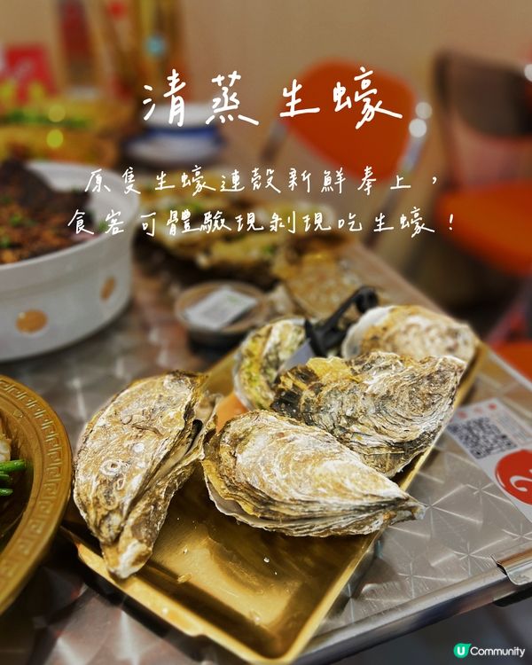 人均80蚊‼️🦪高質生蠔吃到爽😆超大隻、鮮甜、CP值爆錶‼️