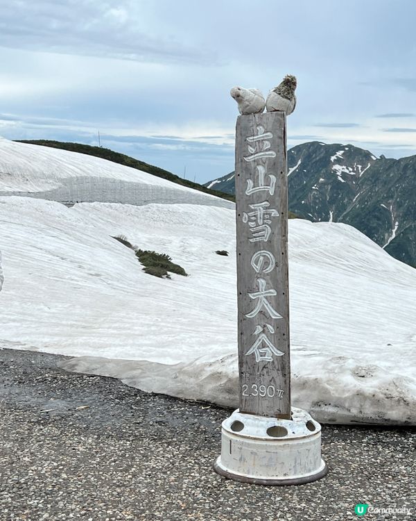 立山黑部🏔️  終於睇到啦！🤩