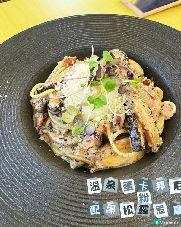 素食者𠃍貓咪Cafe | 緬因貓