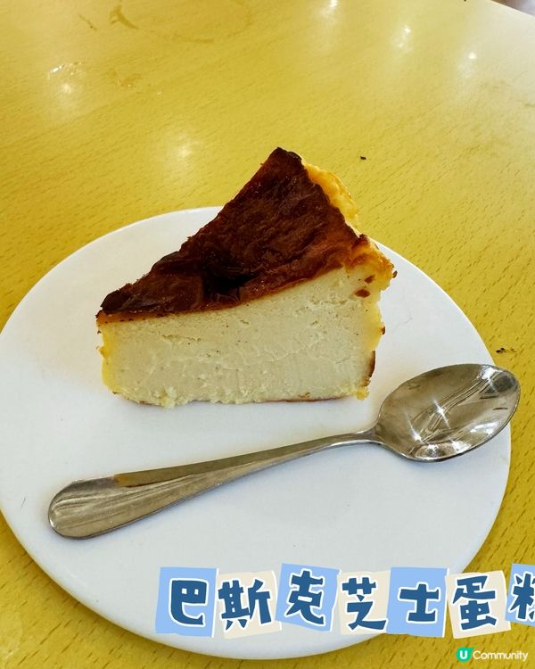 素食者𠃍貓咪Cafe | 緬因貓