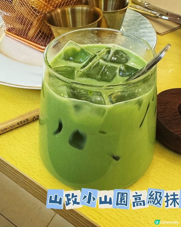 素食者𠃍貓咪Cafe | 緬因貓