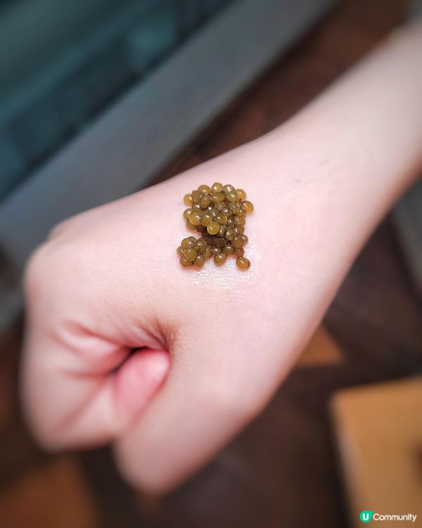 《環迴深圳》鱘魚佛跳牆 X 鵝肝 X 魚子醬三重奏 @ 南山尚膳 ( 深圳中洲萬豪酒店 )