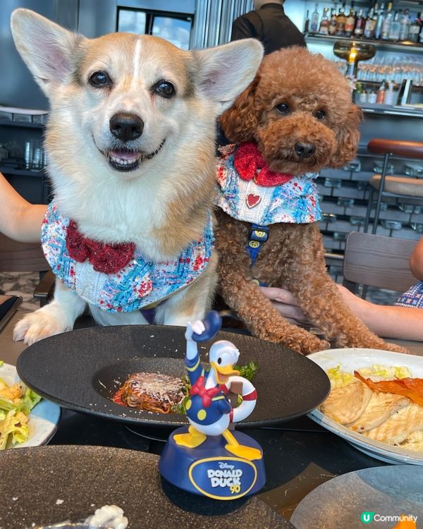 HIGH BAR by Mak's Beer