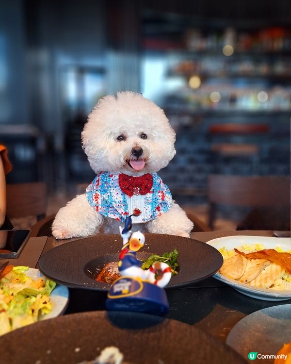 HIGH BAR by Mak's Beer