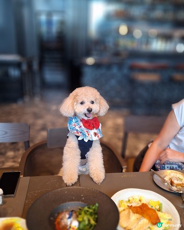 HIGH BAR by Mak's Beer