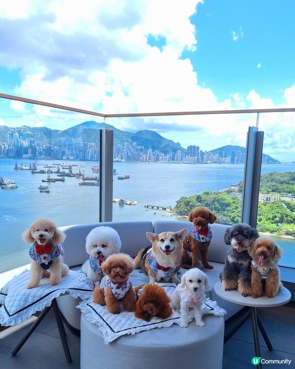 HIGH BAR by Mak's Beer