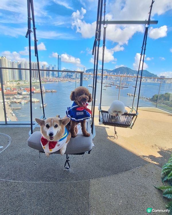 HIGH BAR by Mak's Beer