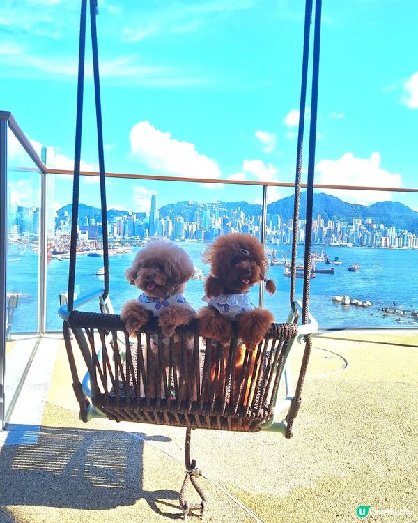 HIGH BAR by Mak's Beer