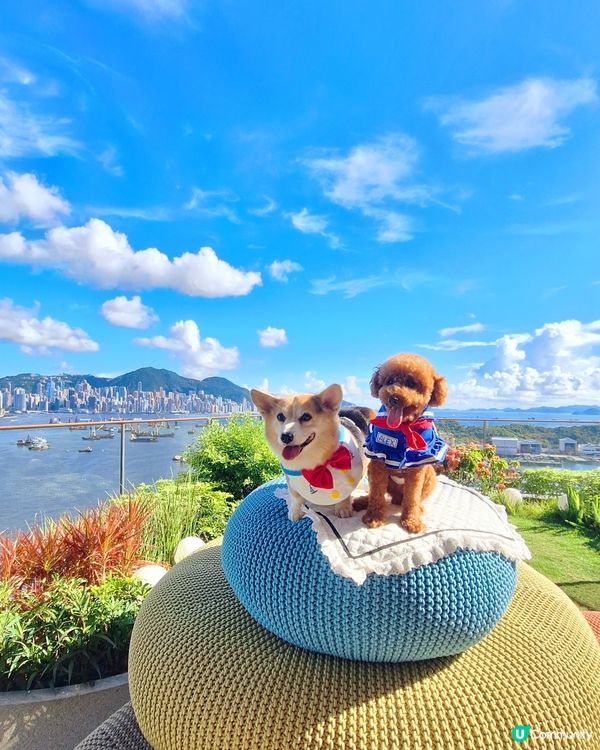 HIGH BAR by Mak's Beer