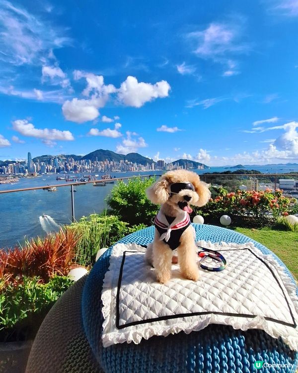 HIGH BAR by Mak's Beer