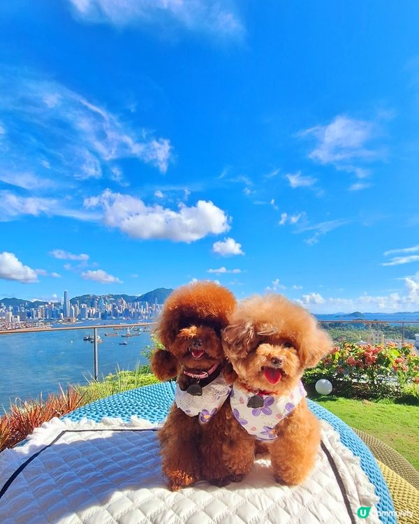 HIGH BAR by Mak's Beer