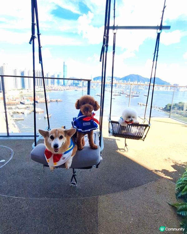 HIGH BAR by Mak's Beer