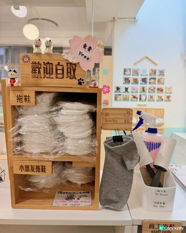 🐱愛貓人士必去！[貓之茶房] 超乾淨舒服😌