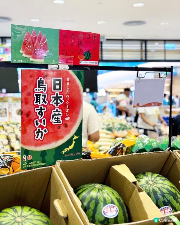 😍 西瓜巨大化!!! 鳥取西瓜美味しい