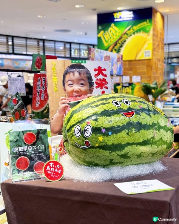 😍 西瓜巨大化!!! 鳥取西瓜美味しい