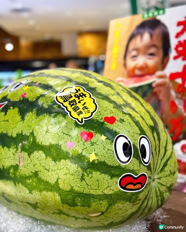 😍 西瓜巨大化!!! 鳥取西瓜美味しい