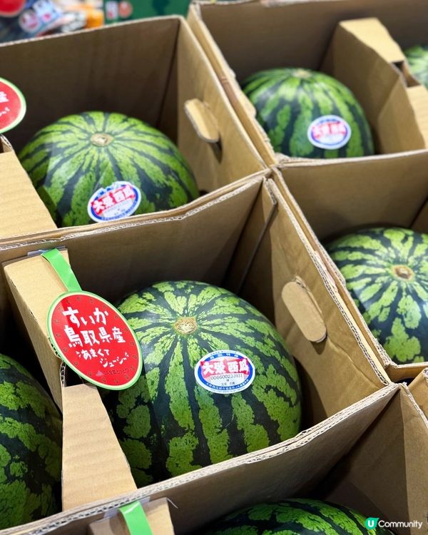 😍 西瓜巨大化!!! 鳥取西瓜美味しい