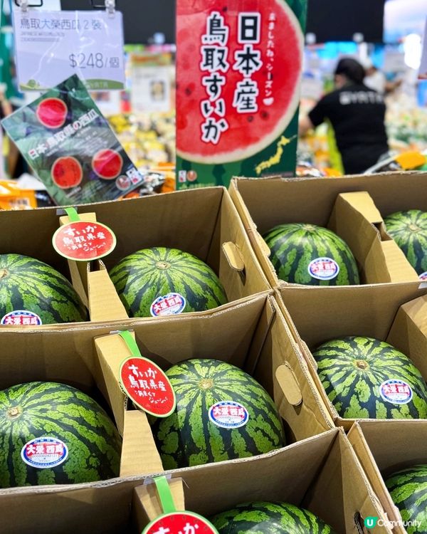 😍 西瓜巨大化!!! 鳥取西瓜美味しい