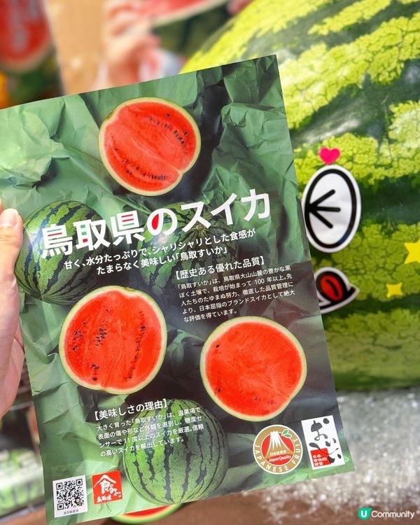 😍 西瓜巨大化!!! 鳥取西瓜美味しい