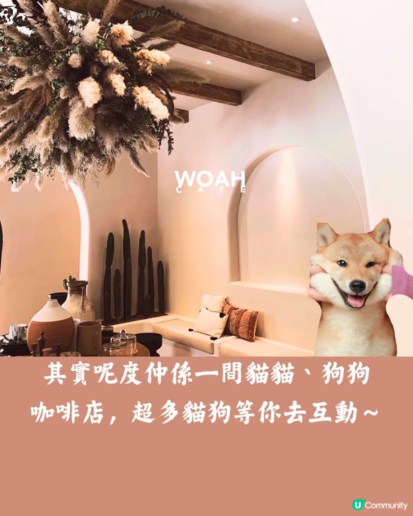 深圳6大獨立屋咖啡店☕️摩洛哥風/展覽/花園🚗附交通教學