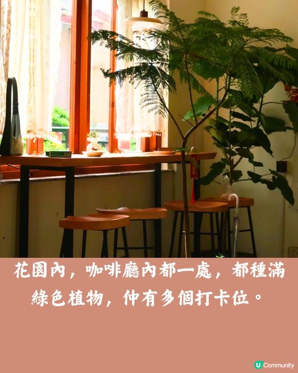 深圳6大獨立屋咖啡店☕️摩洛哥風/展覽/花園🚗附交通教學