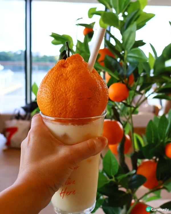 人氣韓國Café☕️🍊Terrace in seaside