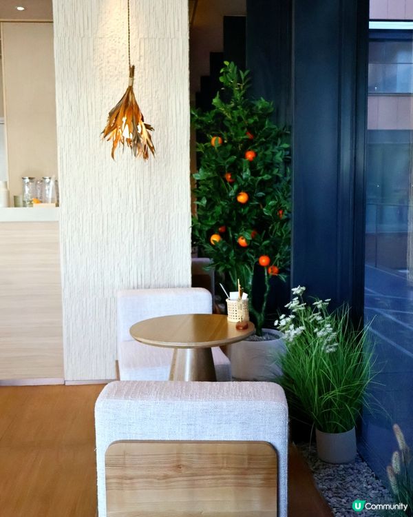 人氣韓國Café☕️🍊Terrace in seaside