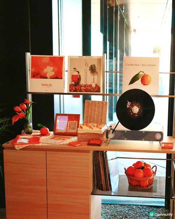 人氣韓國Café☕️🍊Terrace in seaside