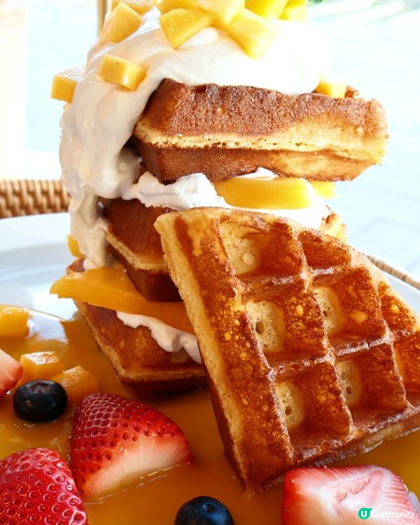 人氣韓國Café☕️🍊Terrace in seaside