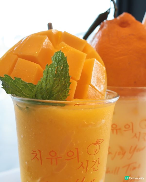 人氣韓國Café☕️🍊Terrace in seaside