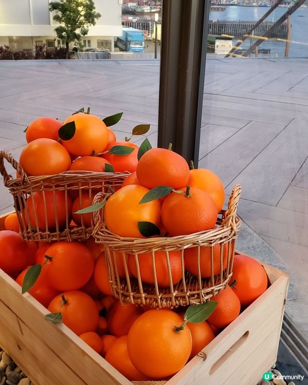 人氣韓國Café☕️🍊Terrace in seaside