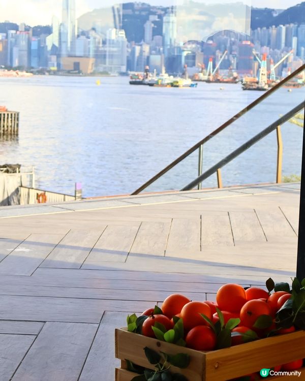 人氣韓國Café☕️🍊Terrace in seaside