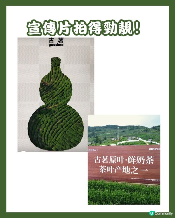 🧋深圳兩大茶飲健康升級優惠開搶🎁 買一送一/0.01元購‼️