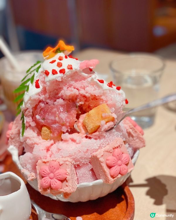 夢幻櫻花🌸甜品飲品