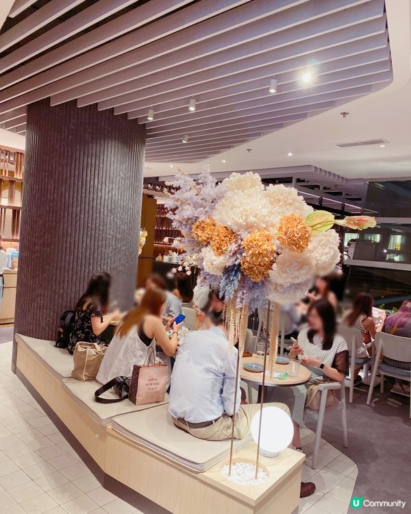 夢幻櫻花🌸甜品飲品