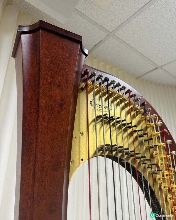 【🎼豎琴老師推介．Pedal Harp 腳踏式豎琴】