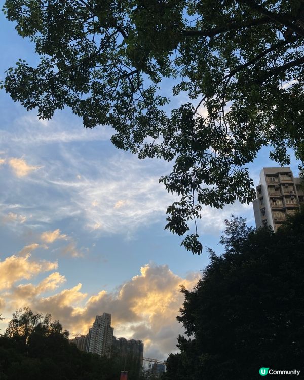 尋找藝術在明愛醫院