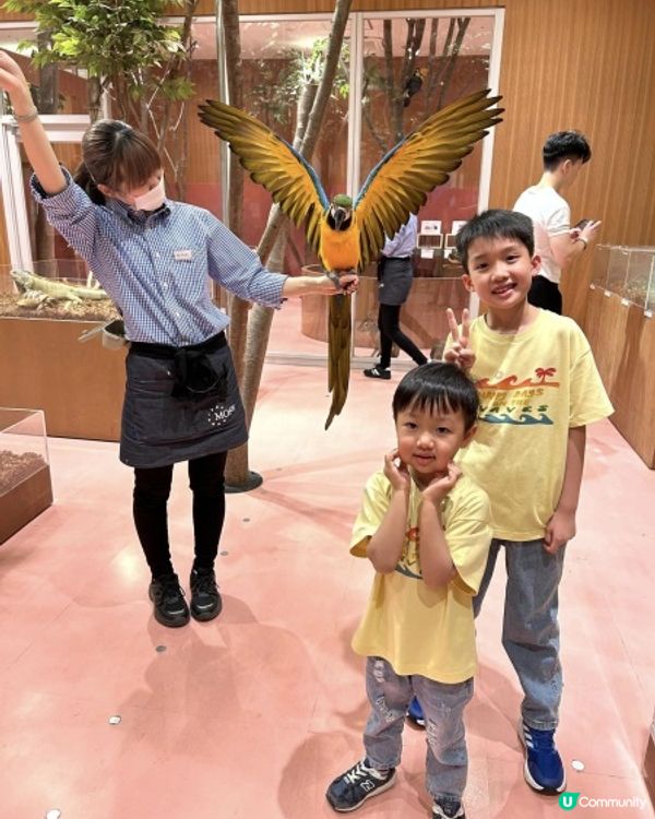 【 零距離親親小動物 】