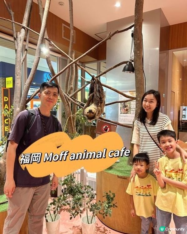 【 零距離親親小動物 】