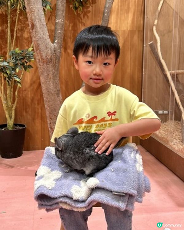 【 零距離親親小動物 】