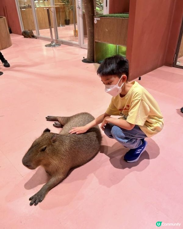 【 零距離親親小動物 】