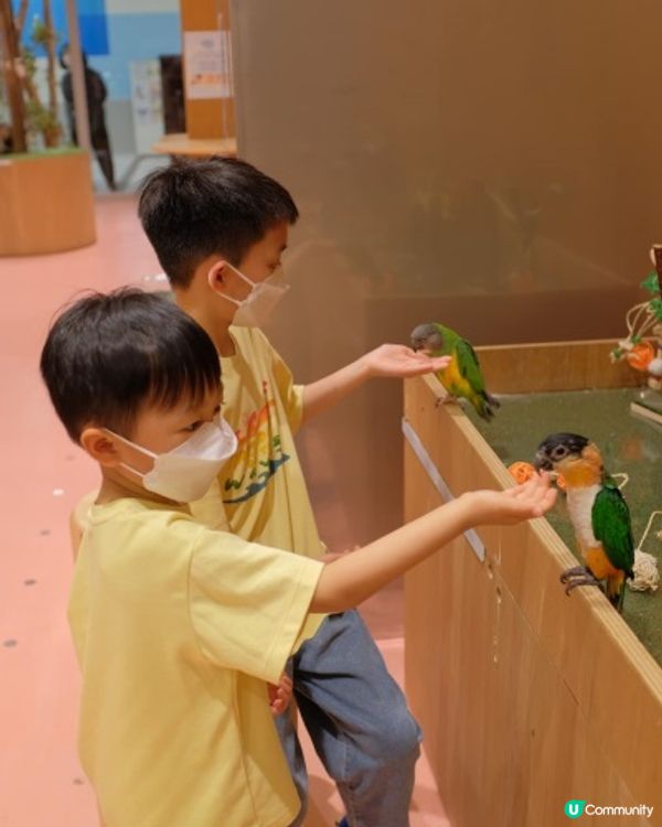 【 零距離親親小動物 】