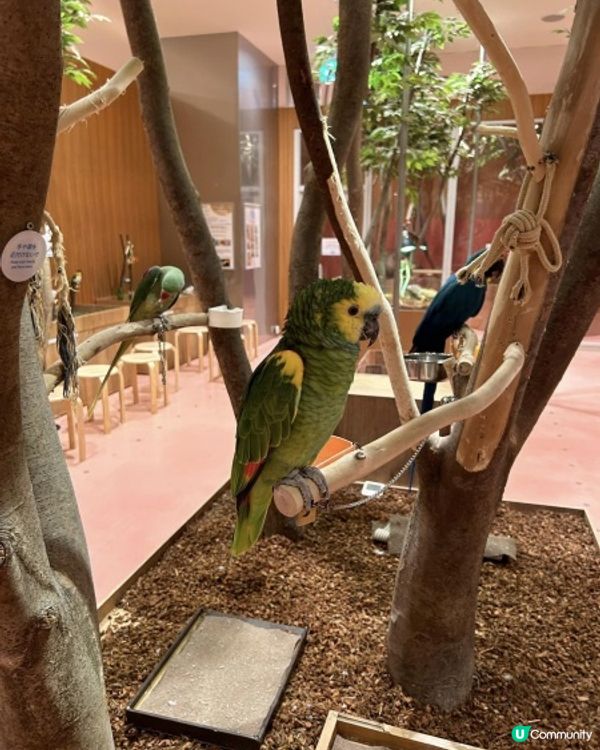 【 零距離親親小動物 】