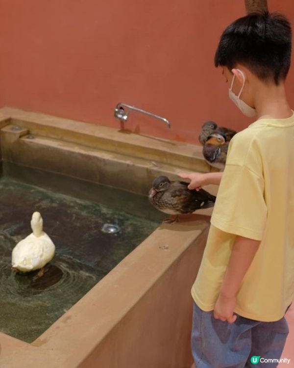 【 零距離親親小動物 】