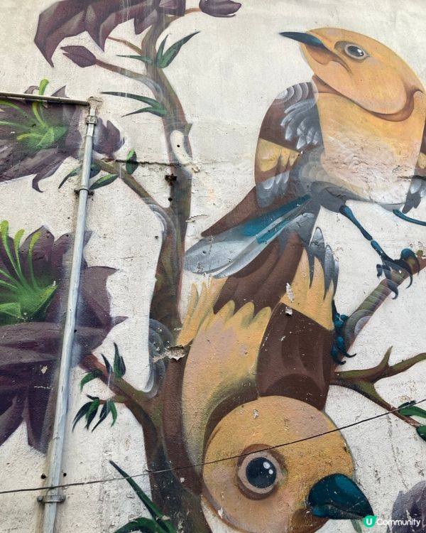 走走深水埗文青Cafe及小店