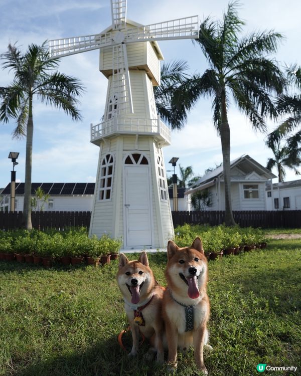 香港純白風度假村🏝️ 可帶寵物